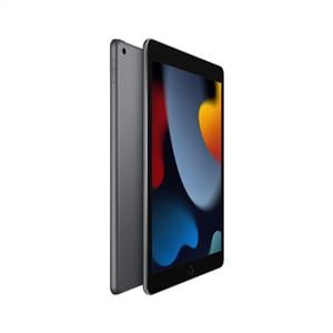 iPad 9.Nesil 256GB Wi-Fi 10.2''Retina Ekran iPadOS Tablet Space Gray