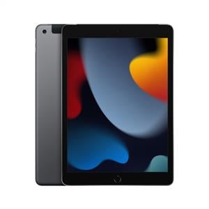 iPad 9.Nesil 256GB Wi-Fi+Cellular 10.2''Retina Ekran iPadOS Tablet Space Gray